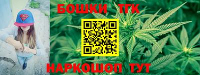 стаф Будённовск