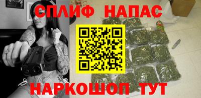 стаф Будённовск