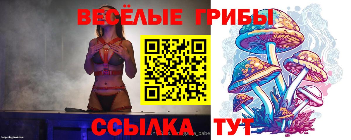 Галлюциногенные грибы MAGIC MUSHROOMS  Вход с VPN  Маркс 