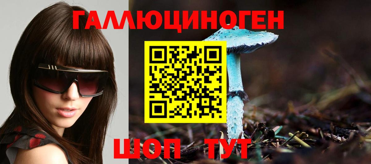 Галлюциногенные грибы Psilocybe Маркс